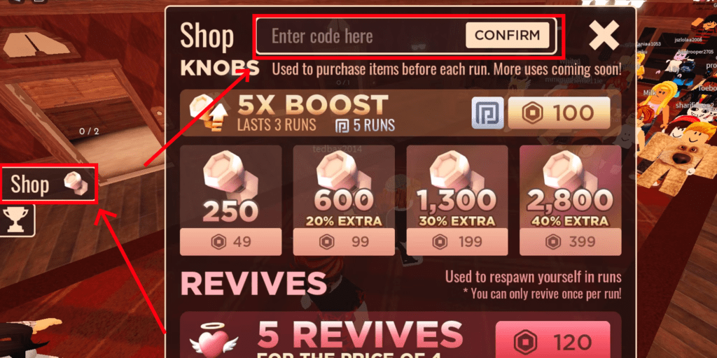 Doors куда вводить код